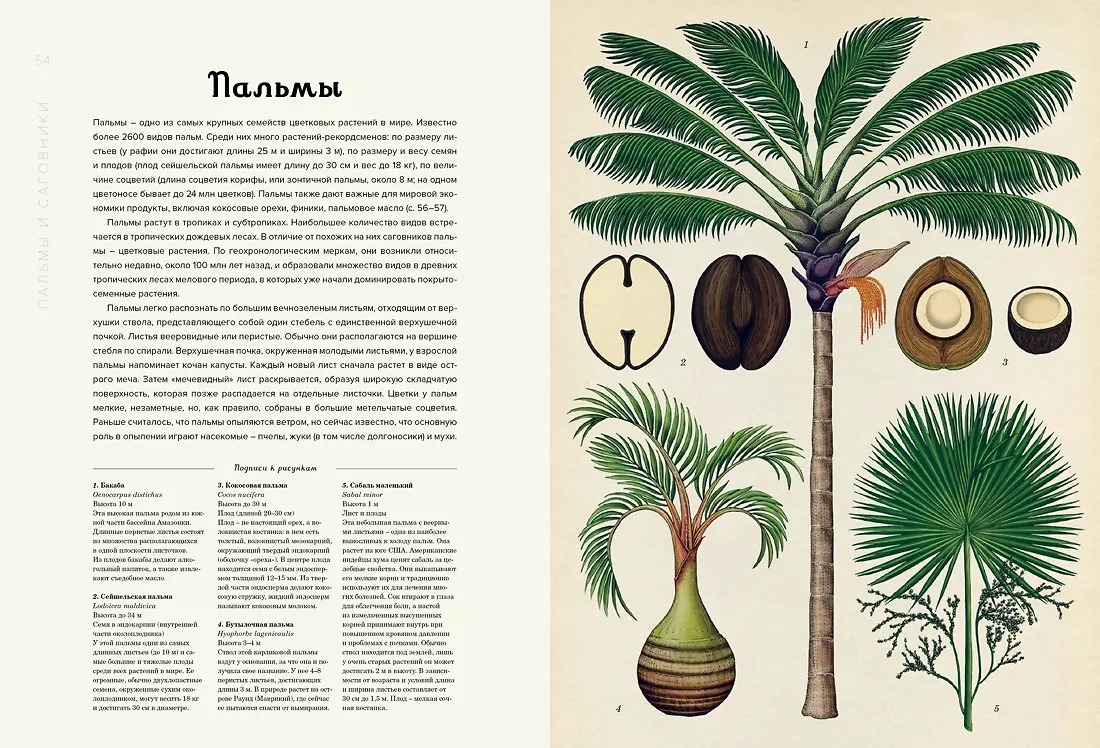 Изображение товара 4