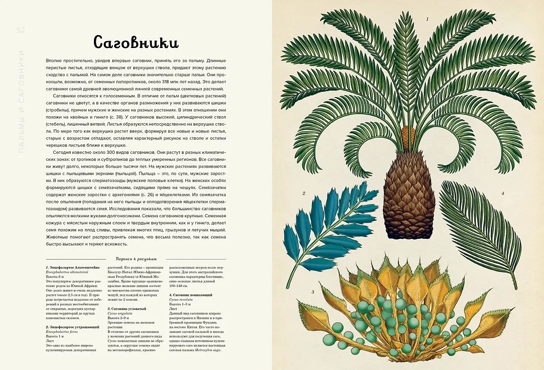 Изображение товара 3