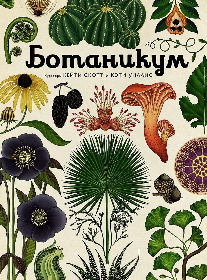 Ботаникум Издательство Махаон вид 1