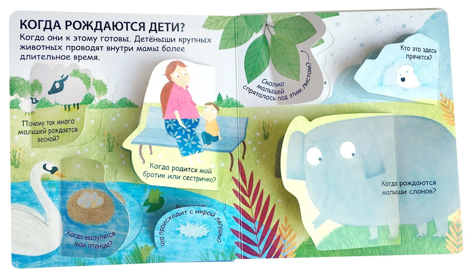 40 окошек. Откуда берутся дети Издательство Робинс вид 2