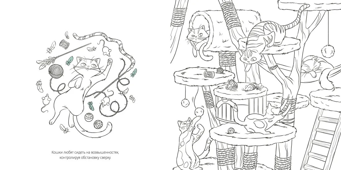 Арт-раскраска антистресс Кошки Издательство Махаон вид 2