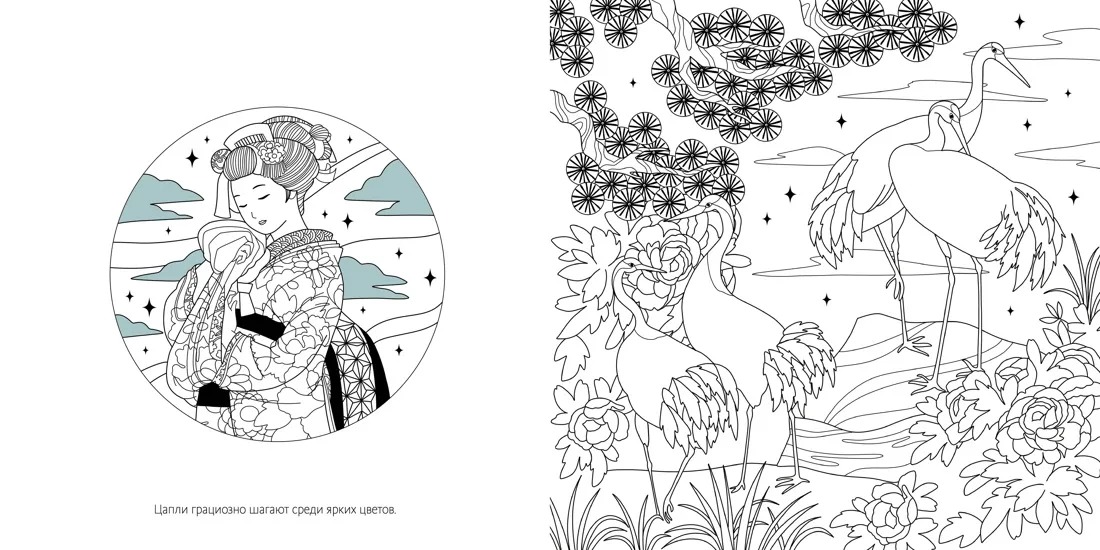 Изображение товара 5