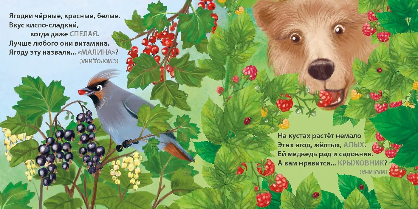 Изображение товара 5