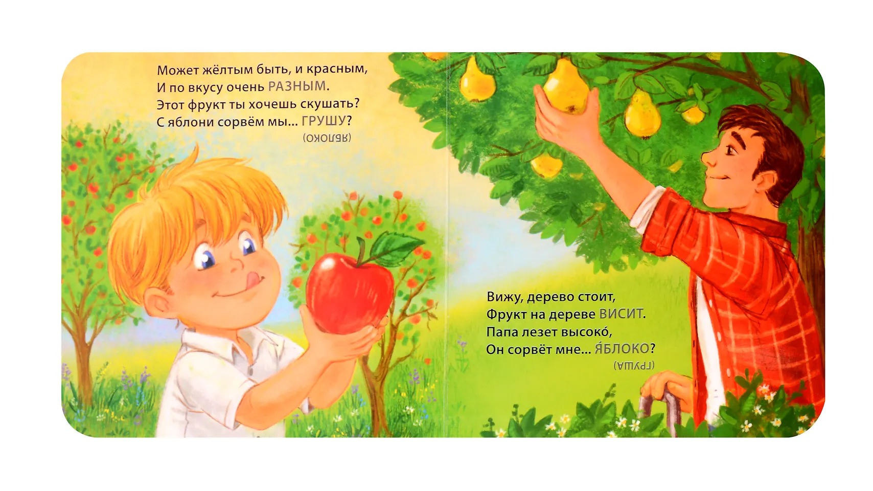 Книжки- картонки. Загадки-обманки.Фрукты и ягоды Издательство Робинс вид 2