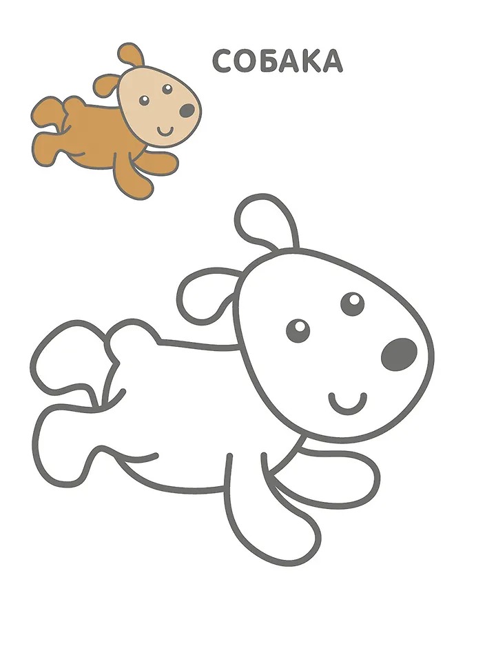 Изображение товара 9