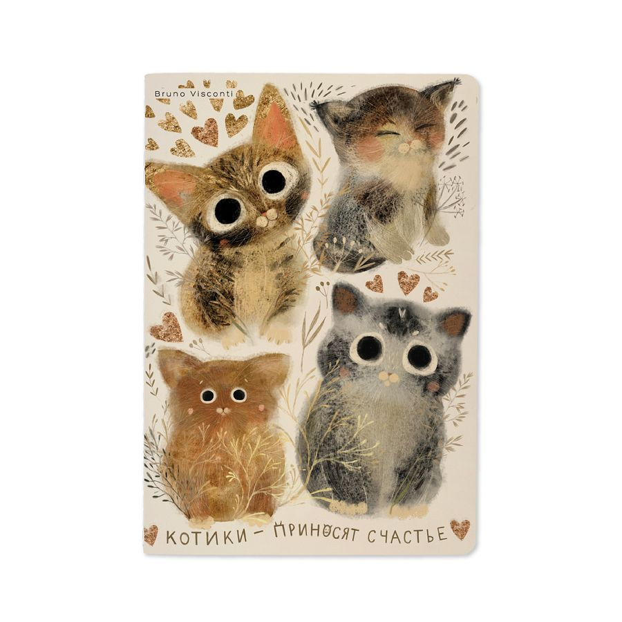 Тетрадь 40л. "Котики. Счастье" Bruno Visconti вид 1