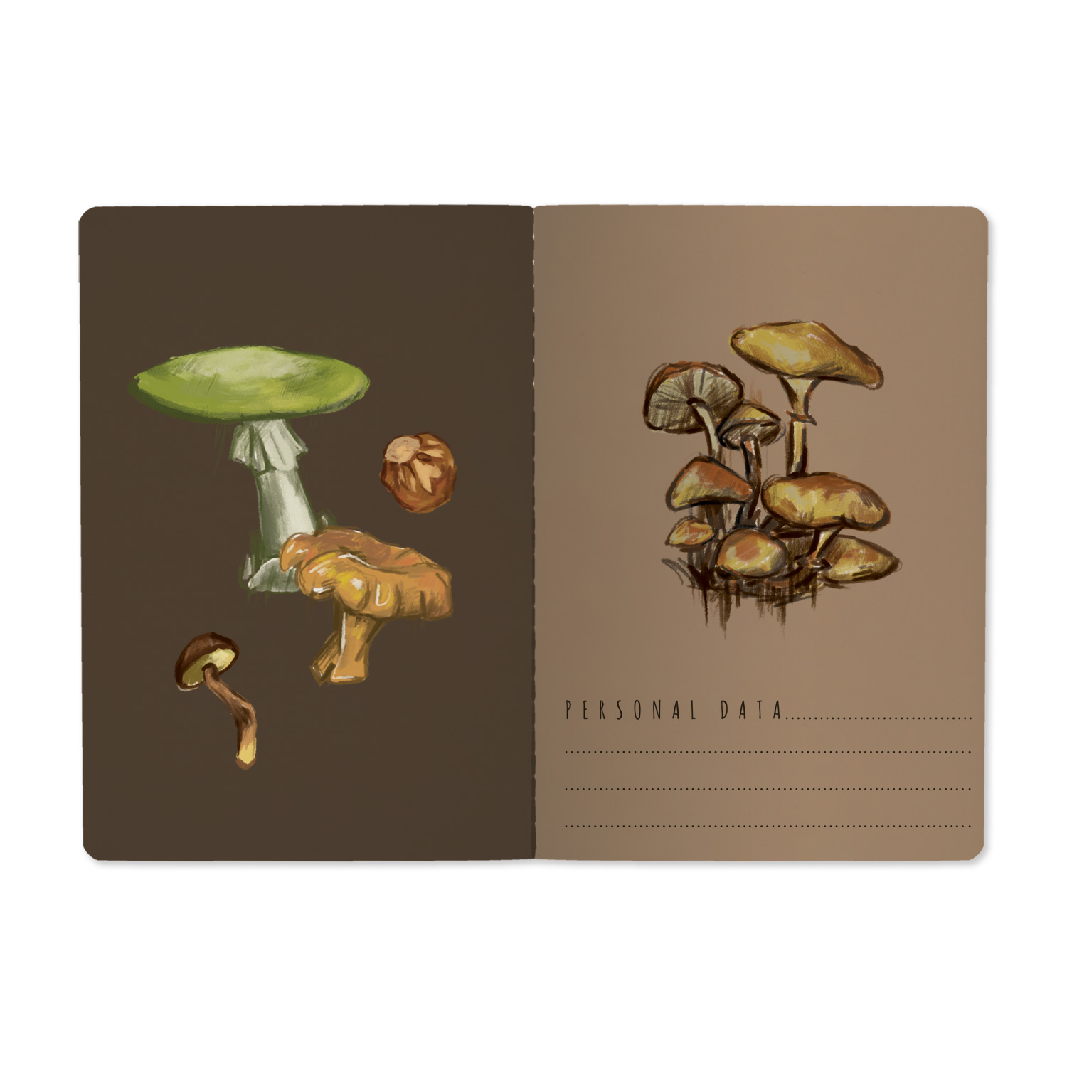 Тетрадь 40л. "Грибная феерия" Bruno Visconti вид 2