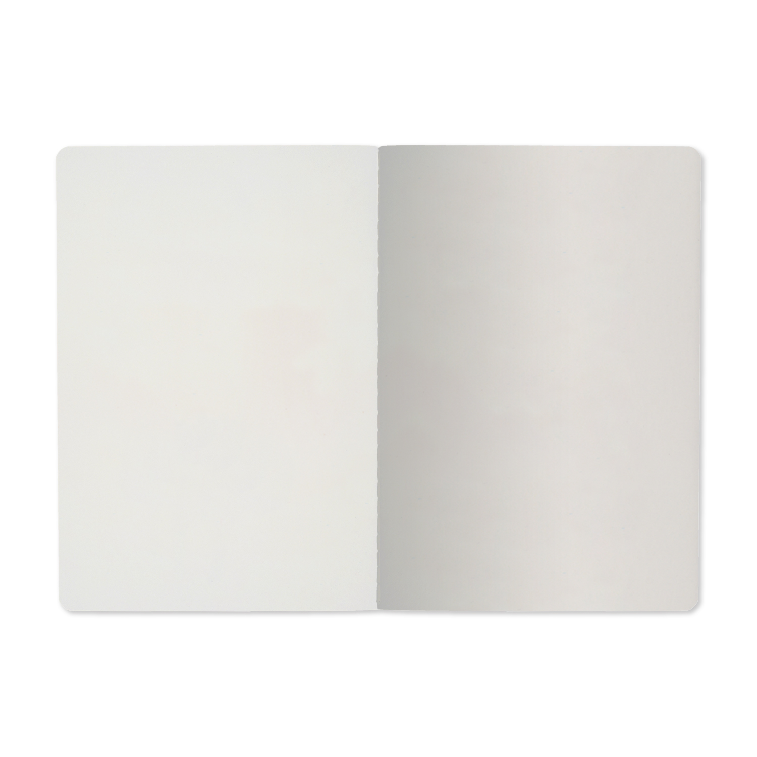 Тетрадь 40л. "Funny Dandelions" Bruno Visconti вид 2