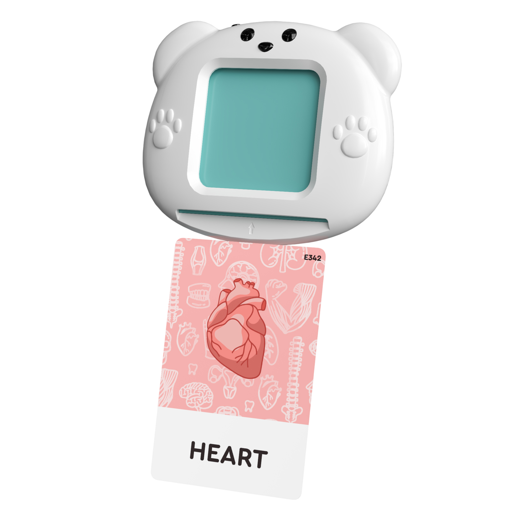 Карточки Talky RUS+ENG  вид 2