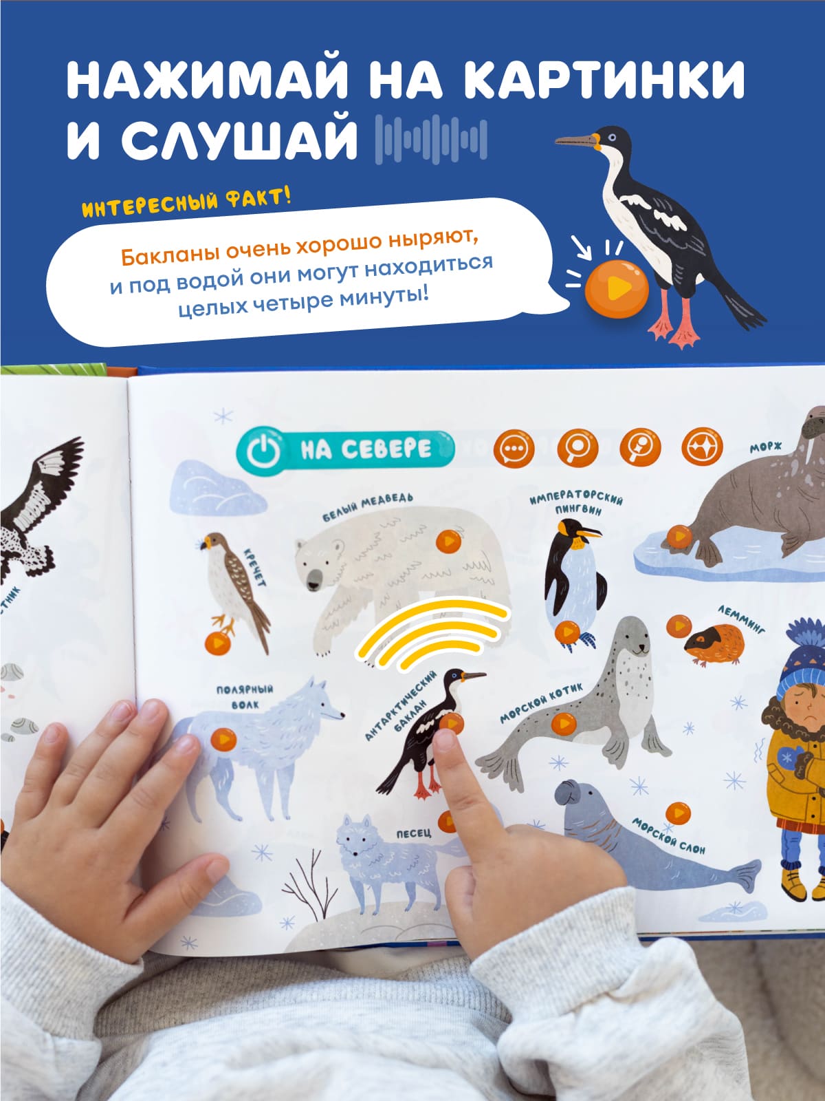 Изображение товара 8