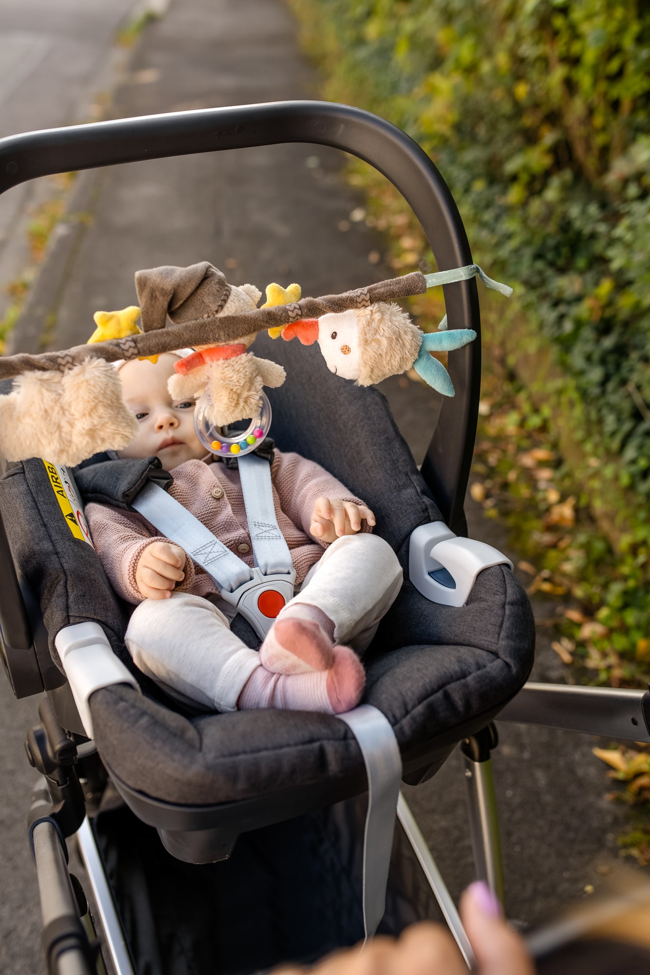 Погремушка- растяжка на коляску Мишка Бруно Fehn вид 2