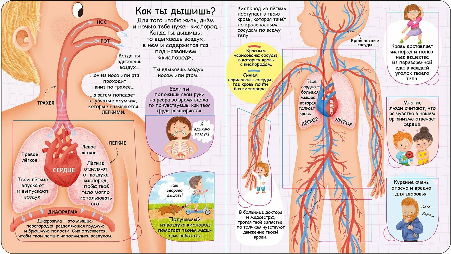 Изображение товара 4