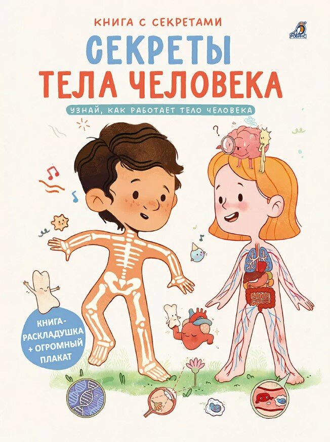 Книга с секретами. Секреты тела человека Издательство Робинс вид 1