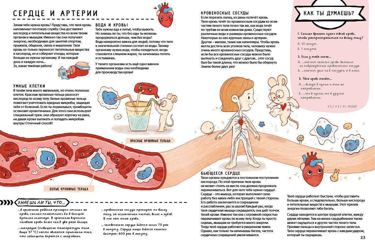 Изображение товара 6