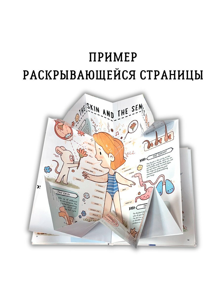 Изображение товара 10