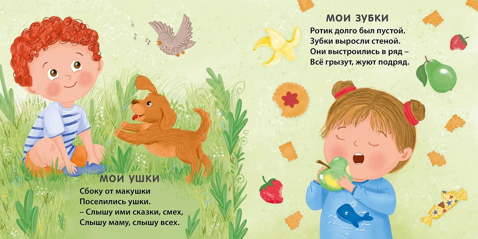 Изображение товара 4