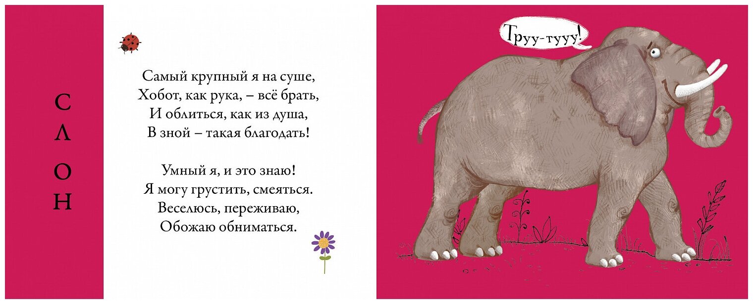 Изображение товара 8