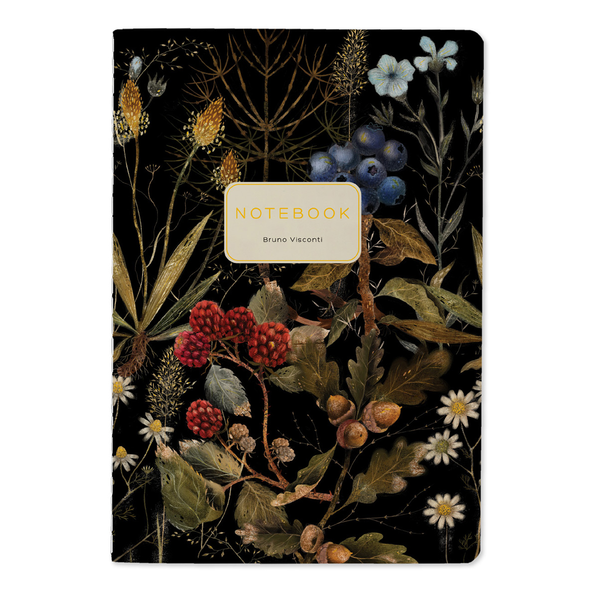 Тетрадь 40 л. Bruno Visconti вид 1