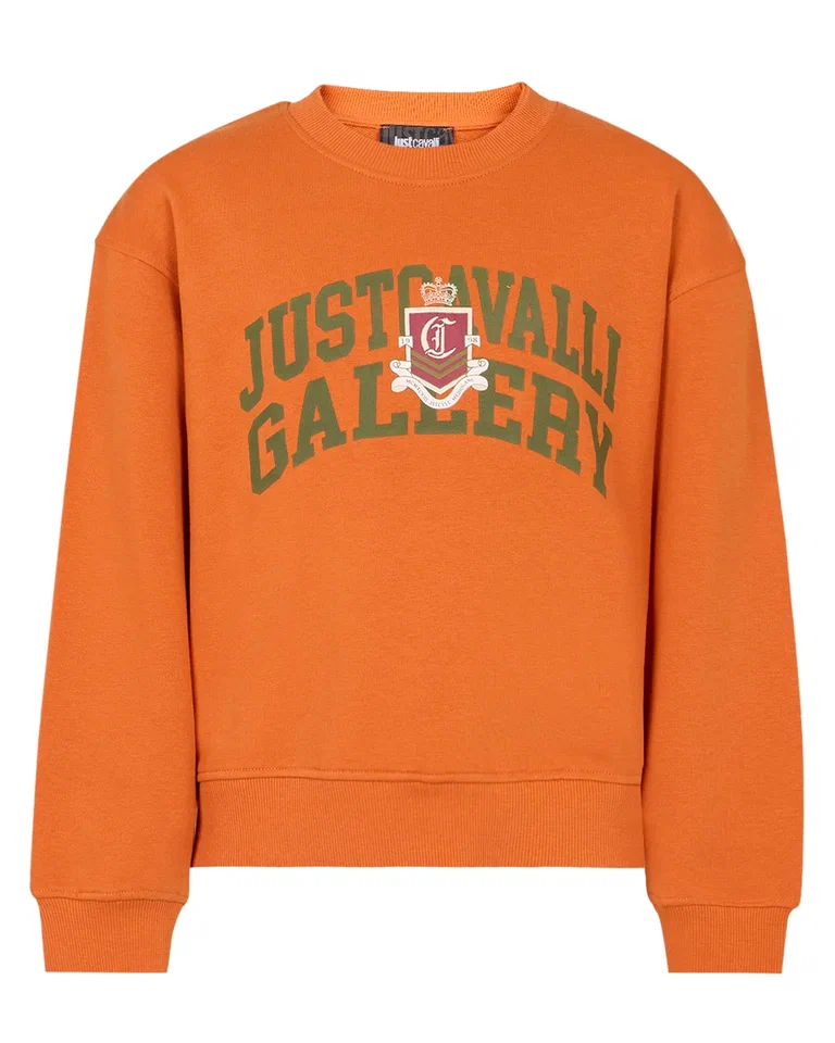 Толстовка Just Cavalli вид 1