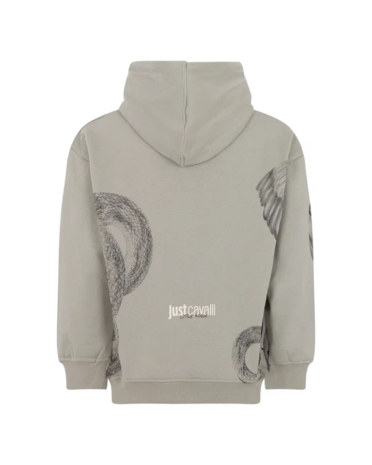 Толстовка Just Cavalli вид 2